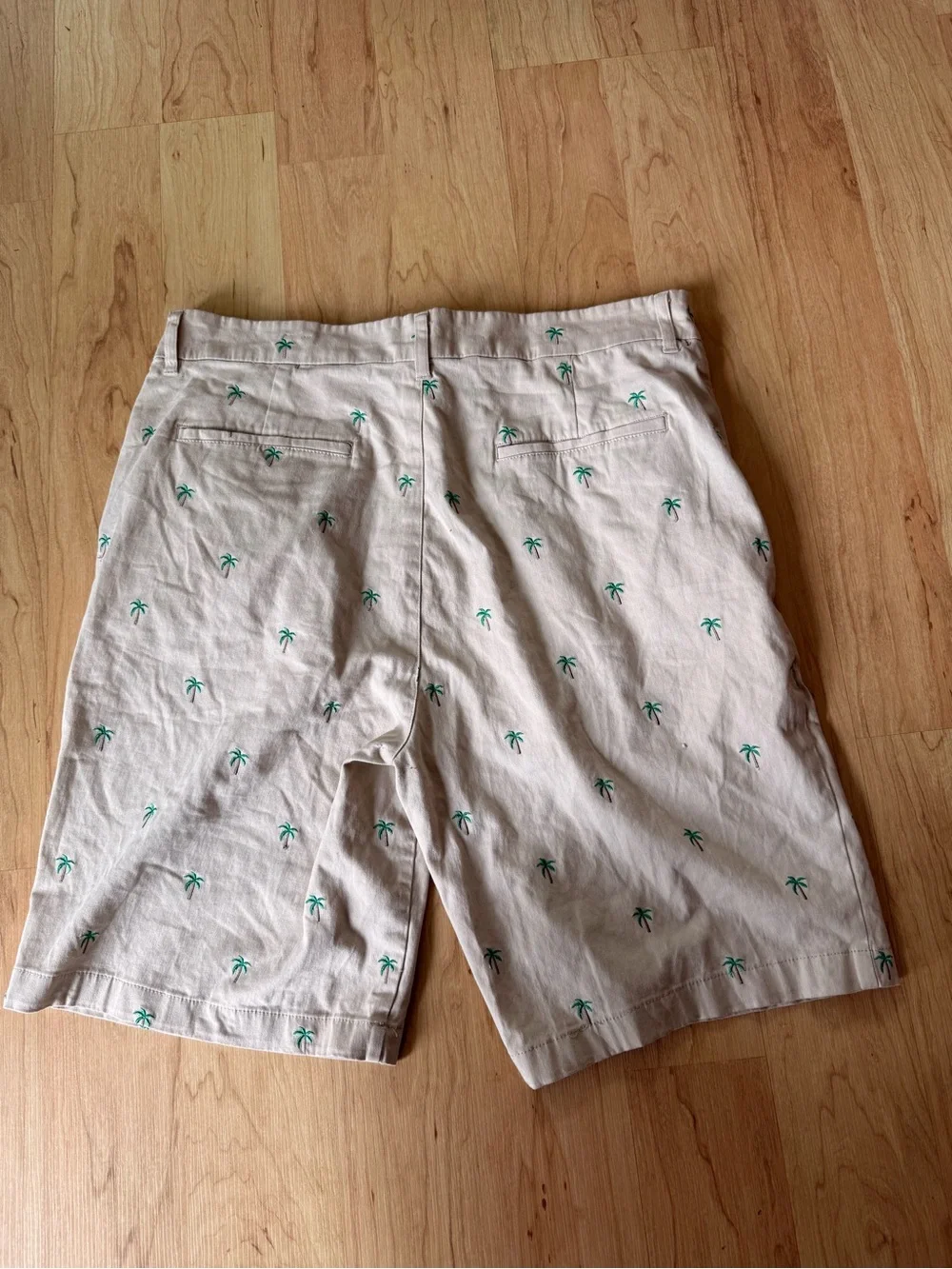 Men's Palm-Embroidered Beige Shorts